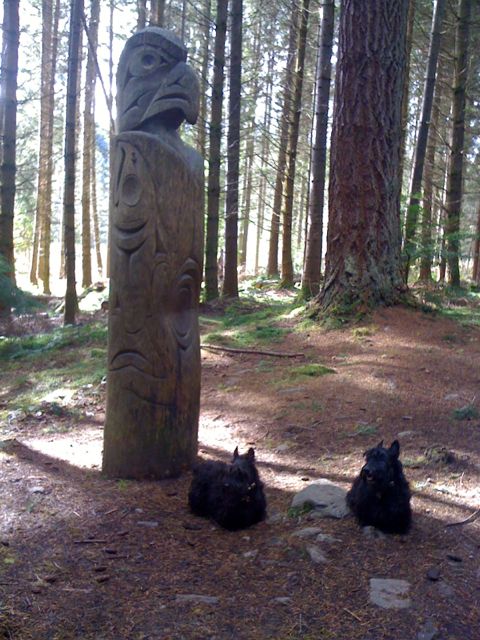 Big Bird …. or what!