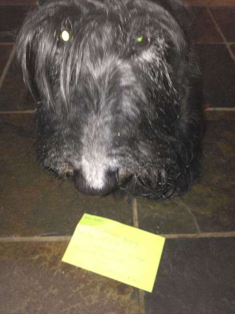 Ok Mama! I'll read it ..... if I must