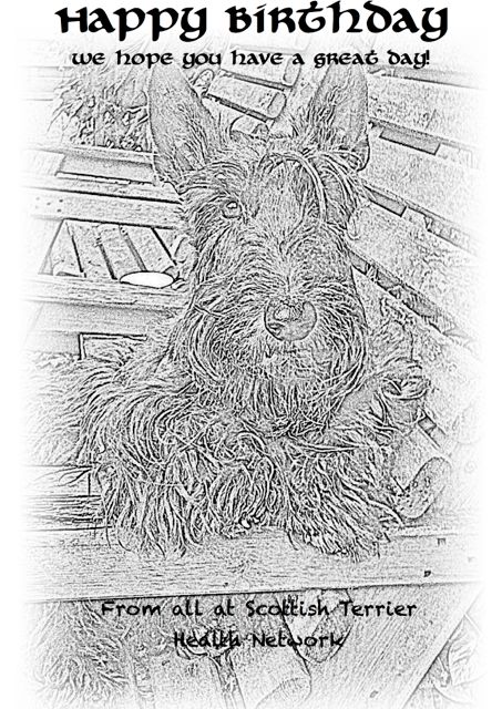 birthday card 1 copy