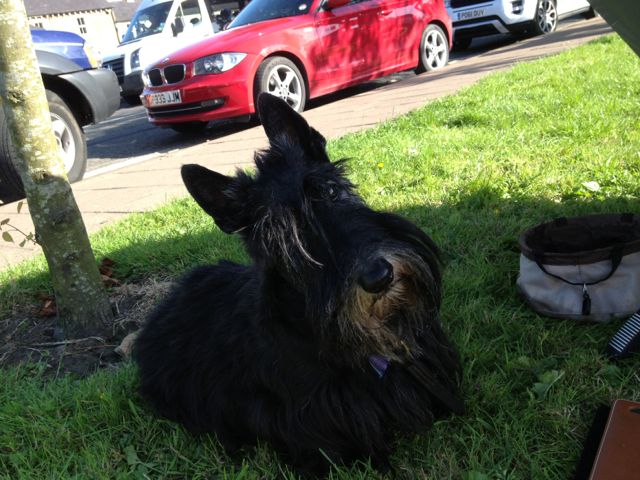 Sitting pretty in the village of Newcastleton waiting to the ceildlh to start