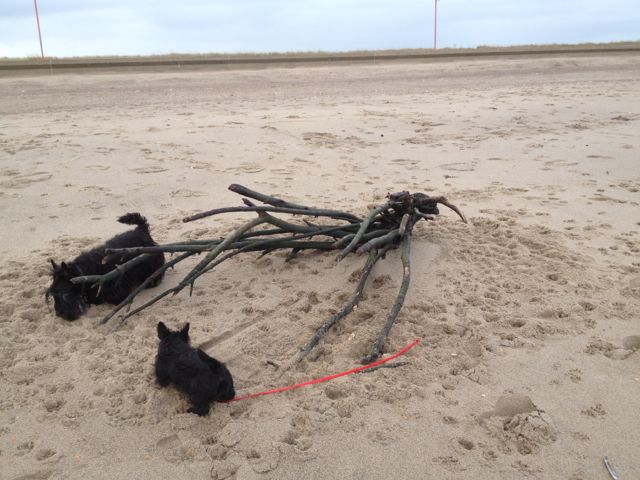 10 Mablethorpe beach with Fabi