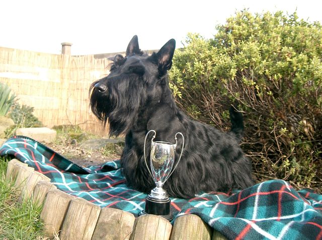 Another photo with same Trophy!