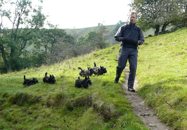 Scampering Scotties in Derbyshire, circa 2007