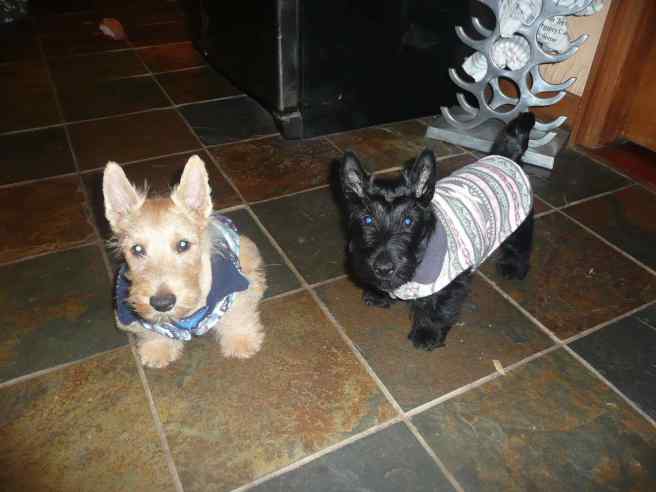 We’re all dressed up and ready to go!